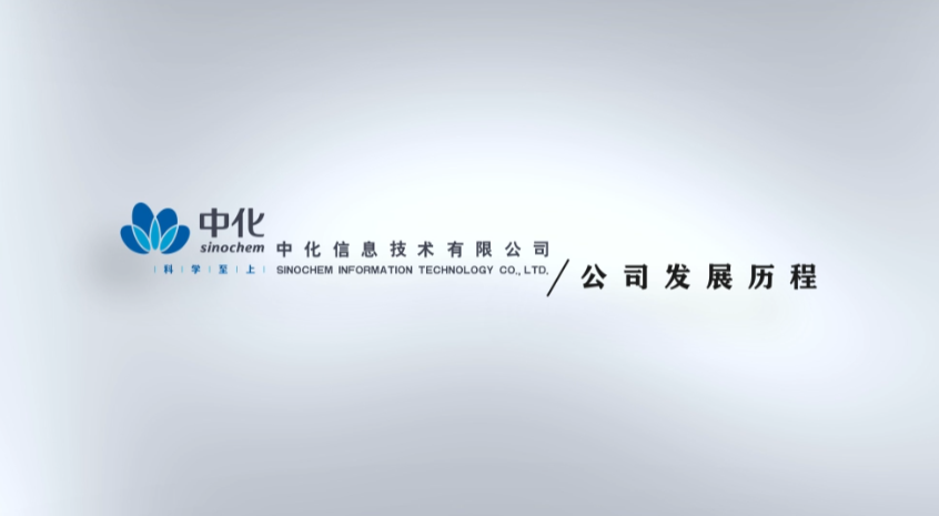 中化信息四周年发展历程